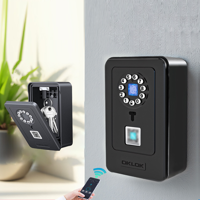Home Security Box - Intelligentes Vorhängeschloss mit Passwort-Speicherfunktion, Fingerabdruck-Tresor für